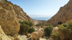 Read more about the article Must see w Izraelu: rezerwat Ein Gedi – pomysł na wycieczkę z Jerozolimy