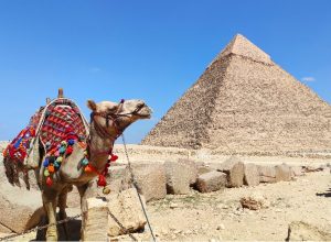 Read more about the article Egipt na własną rękę – (czy i) jak zorganizować wyjazd?